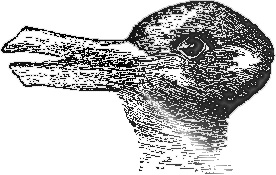 rabbduck